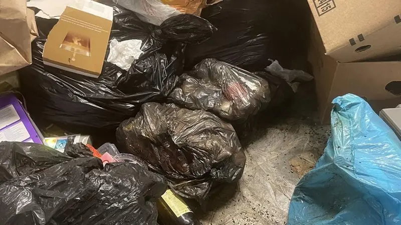 L’area è frequentata dai ratti - © www.giornaledibrescia.it