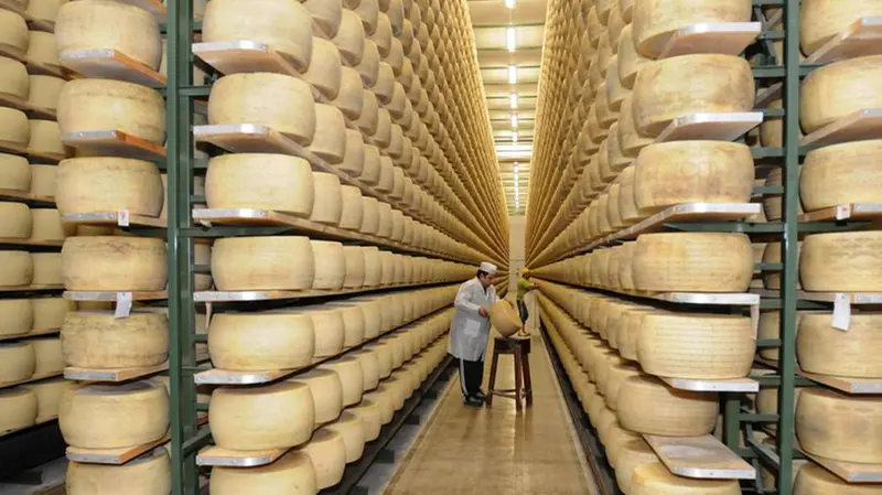 Forme di Grana Padano - © www.giornaledibrescia.it