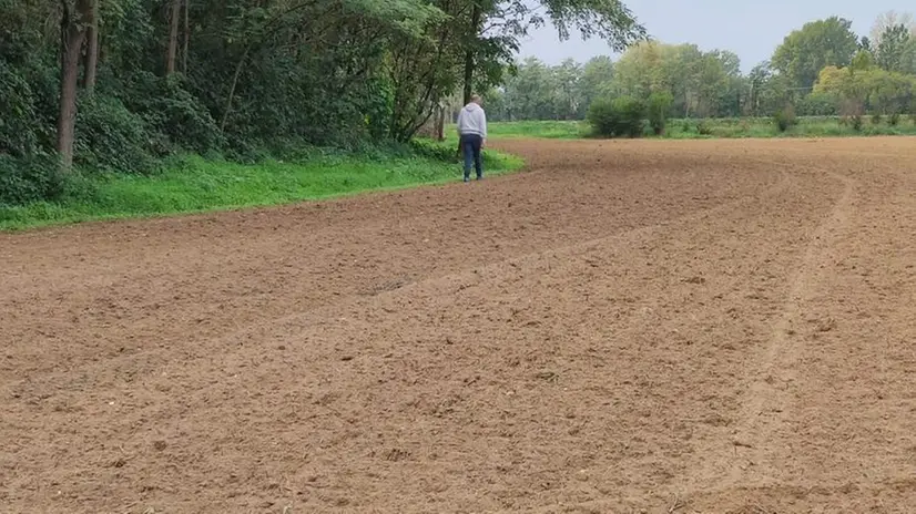 Il campo dove avverà la prima semina degli studenti - © www.giornaledibrescia.it