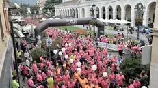 «La Zebra Run» attraversa il cuore di Brescia portando solidarietà - © www.giornaledibrescia.it