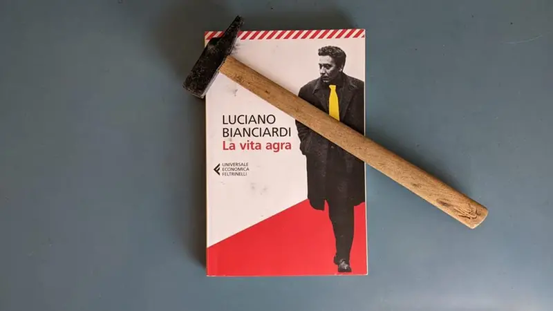 La copertina di La vita agra