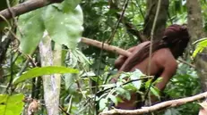 L'unica immagine dell'«indio della buca» compare in un video girato nel 2018