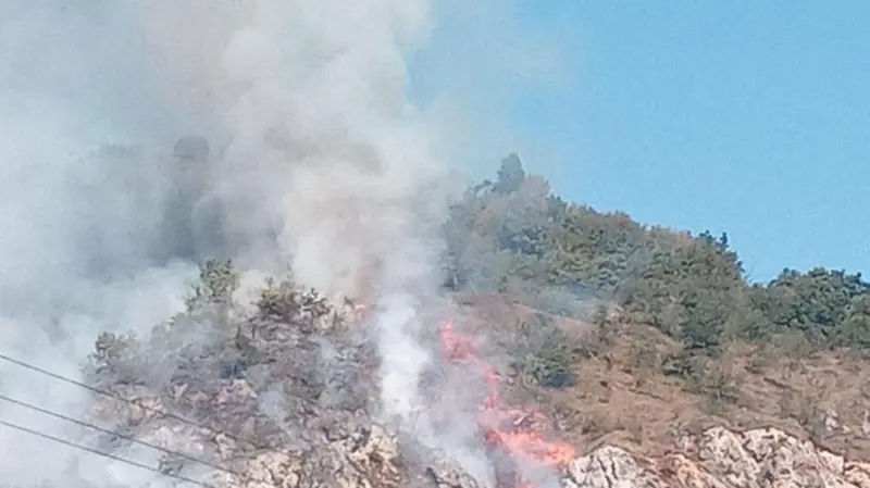 Le fiamme hanno divorato circa 20 ettari di bosco - © www.giornaledibrescia.it