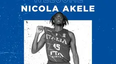 Nikola Akele, nuovo giocatore della Germani Basket - © www.giornaledibrescia.it