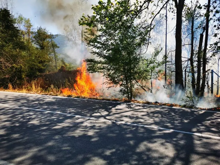 Le fiamme si sono propagate a Concesio