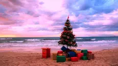 Un albero di Natale in riva al mare