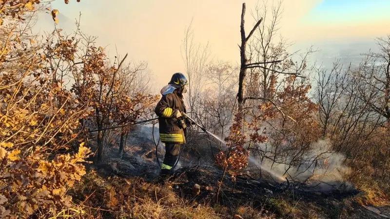 Sempre più roghi si stanno «mangiando» il patrimonio arboreo - Foto © www.giornaledibrescia.it