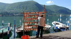 Quella in corso è una stagione ricca di soddisfazioni per i pescatori del Sebino - © www.giornaledibrescia.it