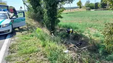 Il punto della Sp19 a Monzambano dove è avvenuto lo schianto - Foto © 2002 Google