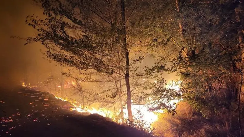 Il rogo ha interessato un'area estesa di vegetazione a Orzinuovi