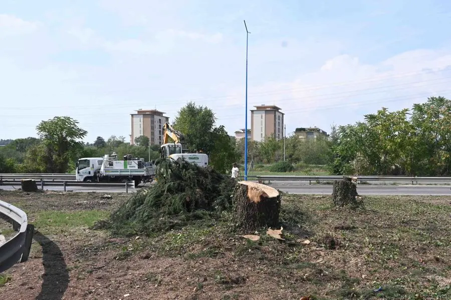 In tangenziale Ovest iniziati i lavori al ponte di via Volturno