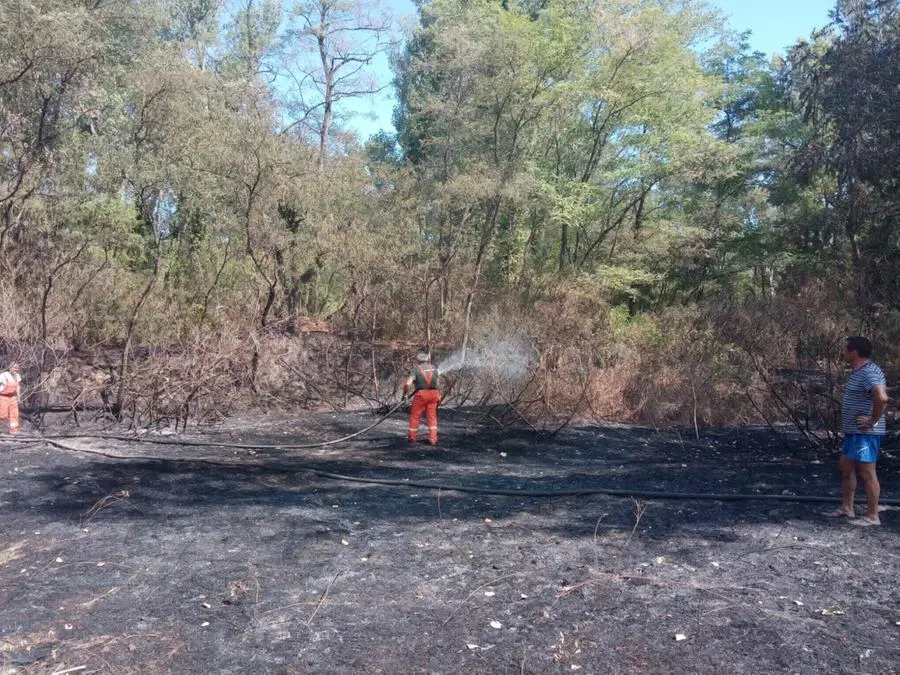 La devastazione lasciata dalle fiamme nel parco Oglio Nord