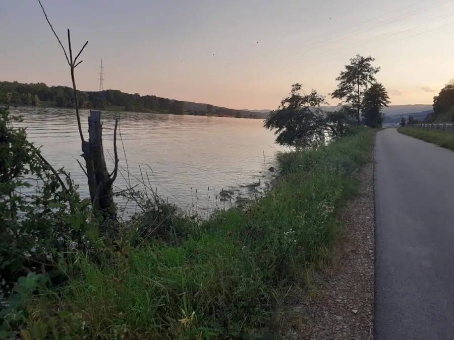 «Cycling for Peace», sulle rive del Danubio continua il viaggio dei due professori camuni
