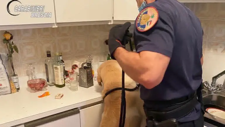 Le attività di controllo dei carabinieri