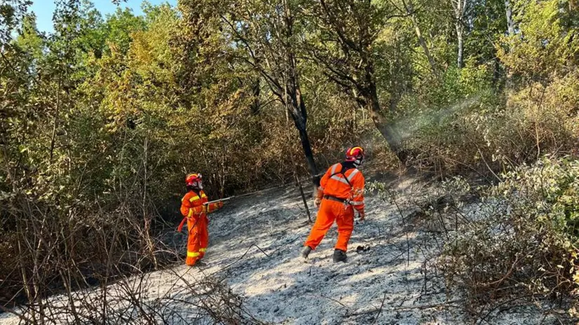 L'incendio nei boschi di Botticino