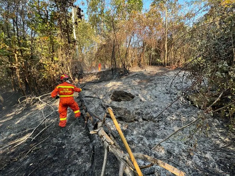 L'incendio nei boschi di Botticino