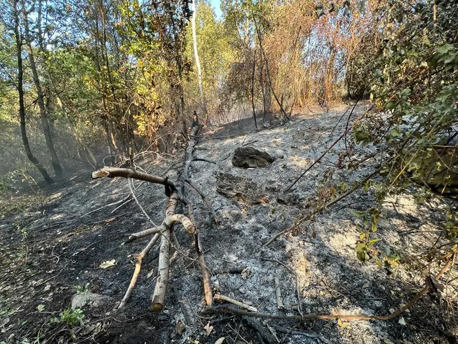 L'incendio nei boschi di Botticino