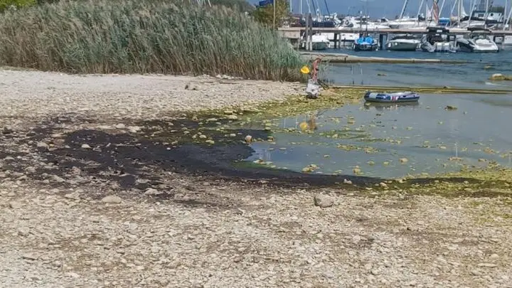 Le chiazze in spiaggia hanno destato la preccupazione dei passanti