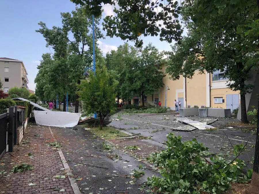 Maltempo al Villaggio Sereno, albero abbattuto in strada e cinema danneggiato