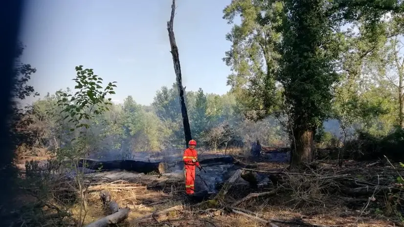 I Vigili del fuoco intervenuti al Parco Oglio Nord
