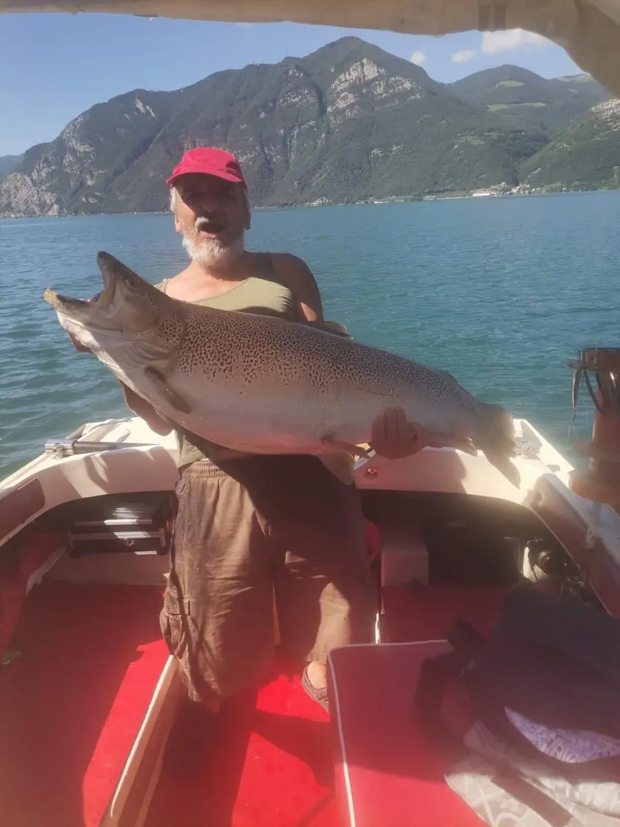 La trota da 20 chili pescata nel lago d'Iseo