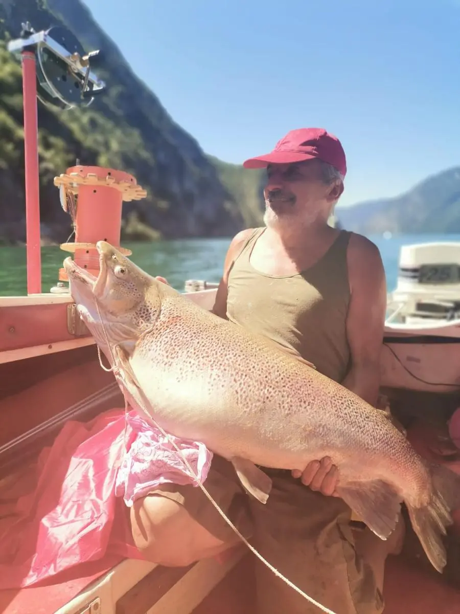 La trota da 20 chili pescata nel lago d'Iseo