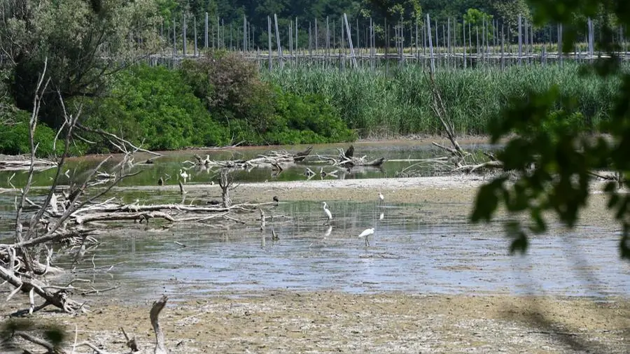 Siccità, viaggio lungo l'Oglio