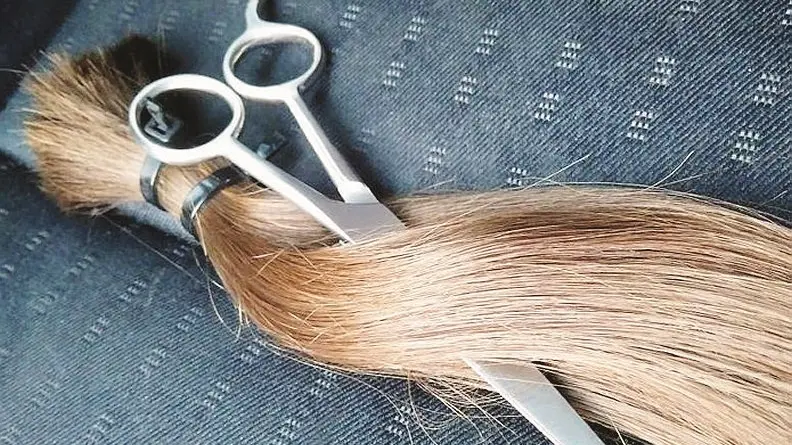 Una lunga ciocca di capelli appena tagliati - Foto tratta da Pinterest