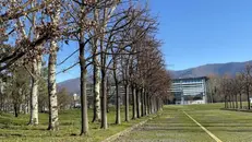 Una mega area al campus dell’Università statale grazie a duecento alberi - Foto © www.giornaledibrescia.it