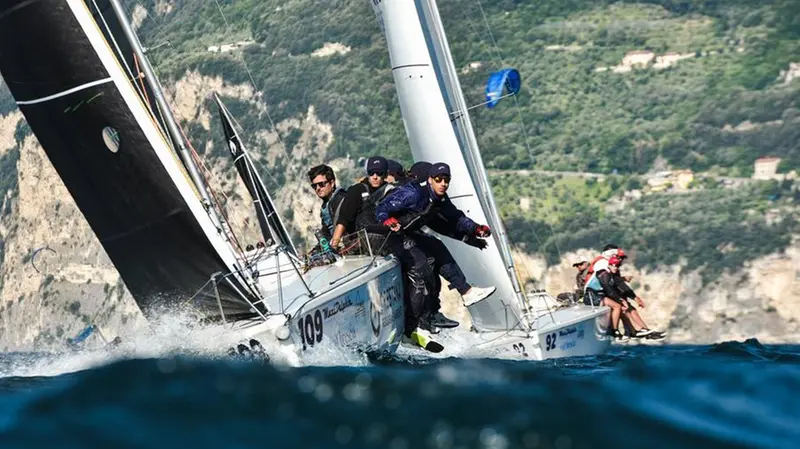 Stenella in bolina - Foto Eurocup Dolphin 81 / Emanuele Zampieri