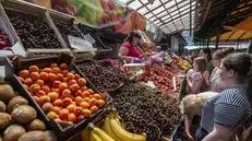 Alcune persone comprano la frutta in un mercato a Lviv - © www.giornaledibrescia.it