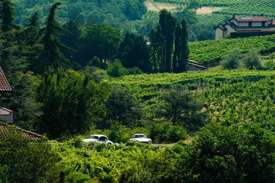 Mille Miglia 2022: il passaggio tra le vigne nel Pavese