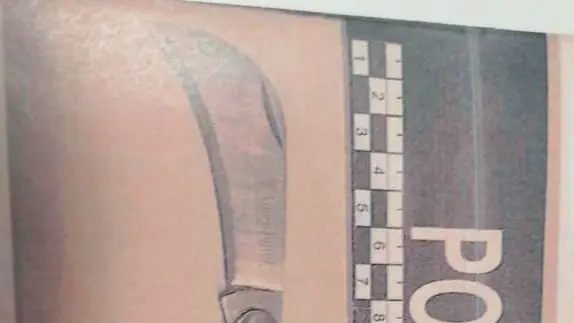 I coltelli sequestrati dalla Locale - © www.giornaledibrescia.it