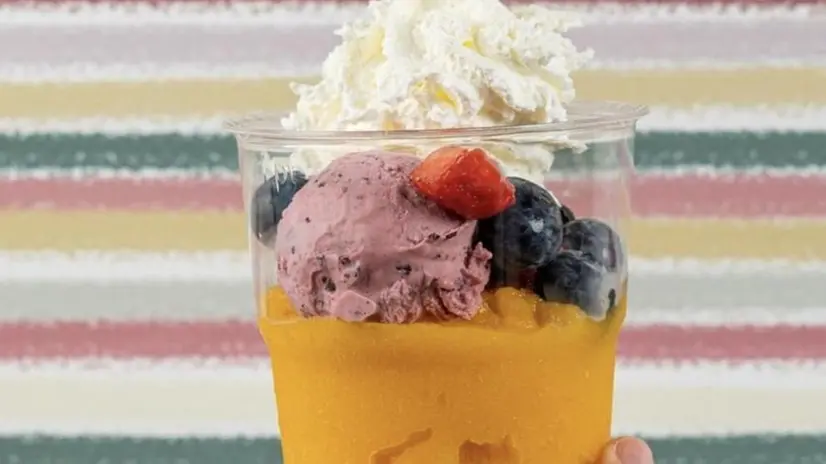 La granita con gelato, frutta e panna della gelateria Mille