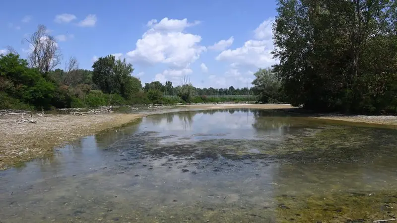L'Oglio a Borgo San Giacomo - Foto Gabriele Strada Neg © www.giornaledibrescia.it