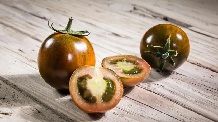 Il pomodoro camone - Foto «iLcamone, quello vero»