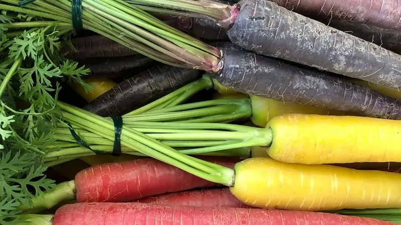 Per la lezione saranno selezionati ingredienti di prima qualità Foto © www.giornaledibrescia.it