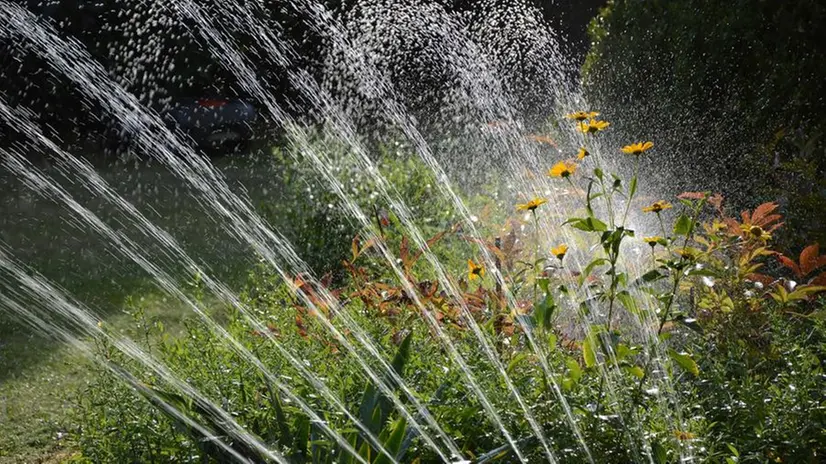 Irrigare il giardino - © www.giornaledibrescia.it