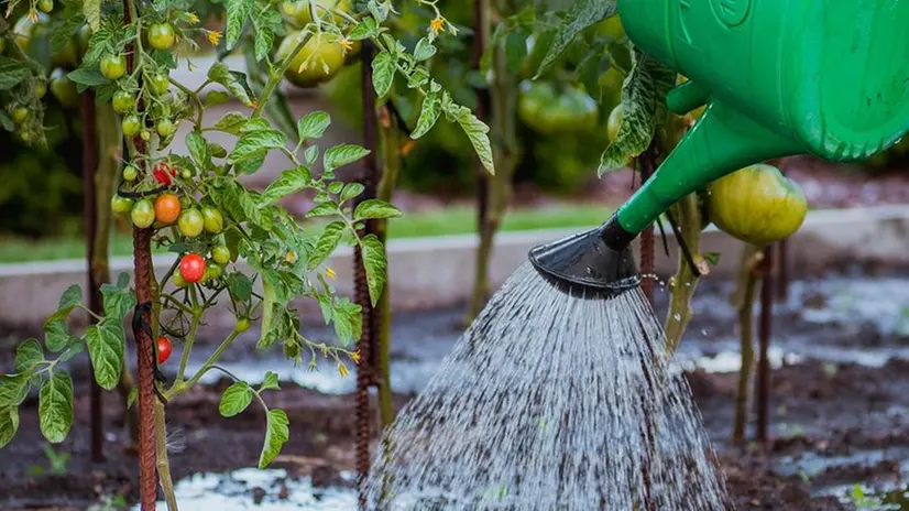 Le ordinanze hanno lo scopo di limitare l'utilizzo dell'acqua