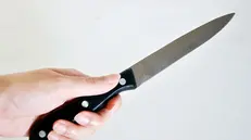 Una mano che brandisce un coltello da cucina  © www.giornaledibrescia.it