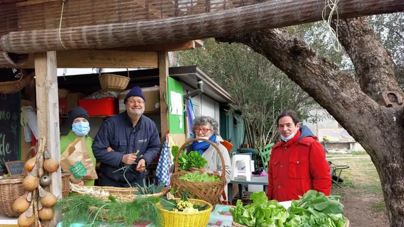 Frutta e verdura biologiche in vendita - © www.giornaledibrescia.it