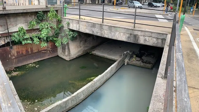 Un tratto a cielo aperto del torrente Garza