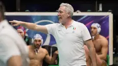 Coach Bovo, allenatore dell'An Brescia