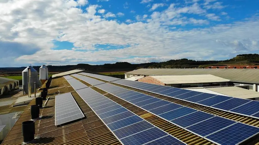 Tetti e pannelli solari per le imprese del comparto agricolo al centro del finanziamento Ue