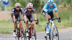 Filippo Tagliani, Samuele Rivi e Mattia Bais alla terza tappa del Giro d'Italia - Foto Ansa  © www.giornaledibrescia.it