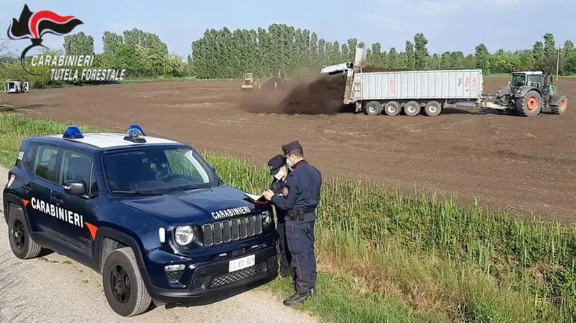 Le indagini dei carabinieri forestali