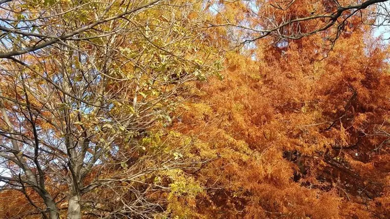 Brescia vanta 4,9 milioni di mq di aree verdi pubbliche: qui il Parco Ducos - © www.giornaledibrescia.it