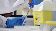 I tamponi vengono sequenziati nei laboratori - © www.giornaledibrescia.it