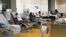Donazioni di sangue nella sede provinciale dell’Avis - © www.giornaledibrescia.it