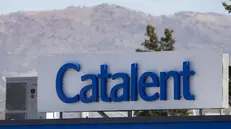 Il logo dell'azienda Catalent - © www.giornaledibrescia.it